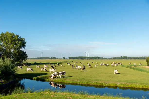 Natuurwandeling bij zonsopgang in Ridderkerk